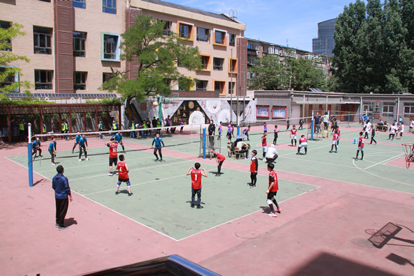 小学生排球比赛